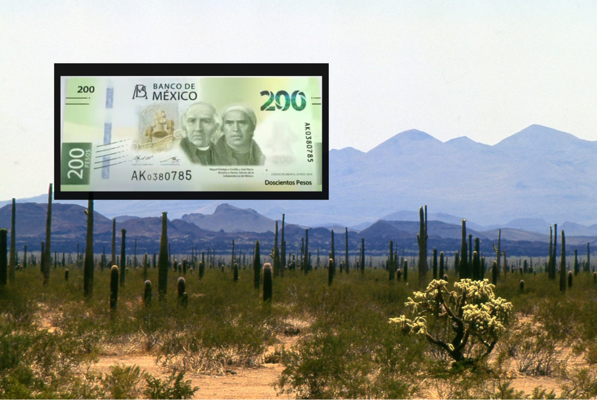 En la parte delantera tiene a Miguel Hidalgo y Costilla y José María Morelos y Pavón, héroes de la Independencia de México. En el reverso, se representa el ecosistema de matorrales y desiertos a través del águila real en la Reserva de la Biósfera El Pinacate y Gran Desierto I Foto: Especial