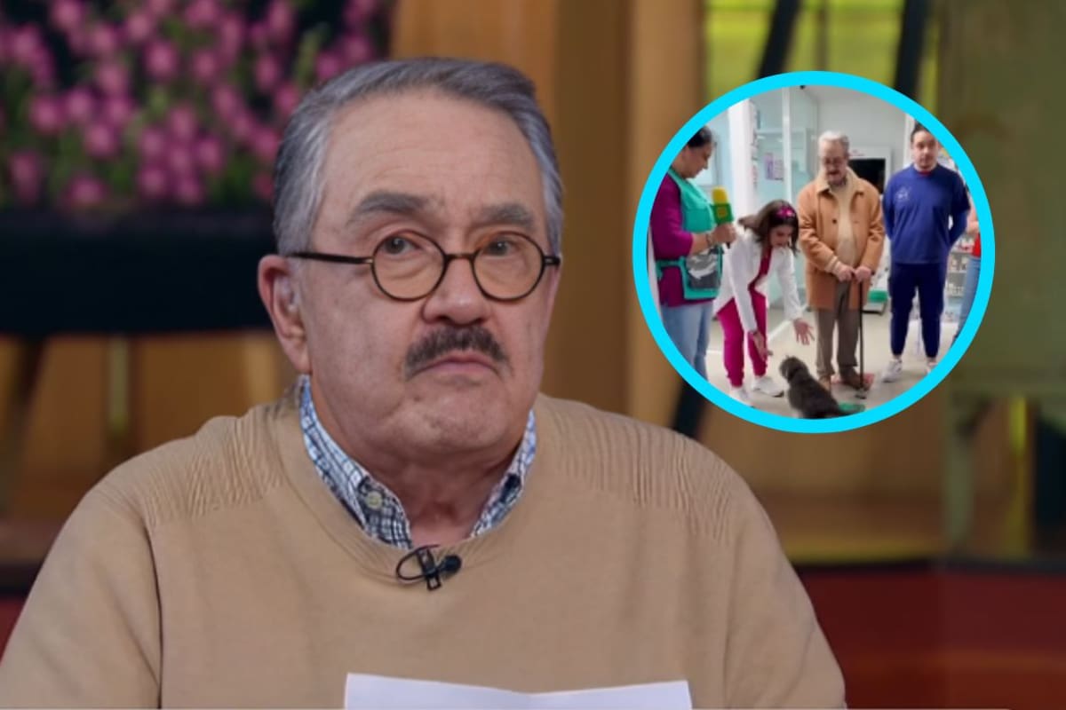 Luego de sus polémicas declaraciones, Pedro Sola visita la fundación Yaakunah para apoyar a perritos abandonados y da inicio a los compromisos sociales asumidos por la producción del programa de Tv Azteca