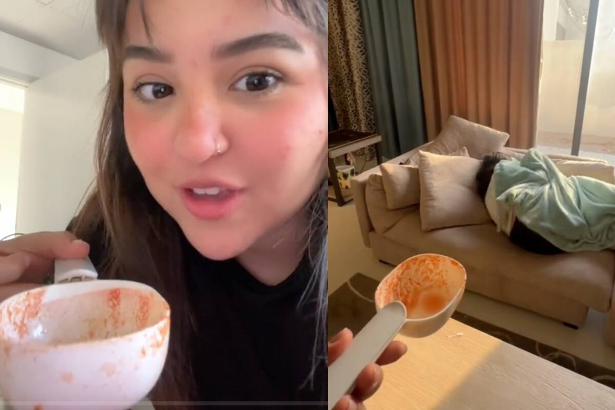 Confunden cucharon de arena para gatos con uno de cocina y el error se vuelve viral en TikTok