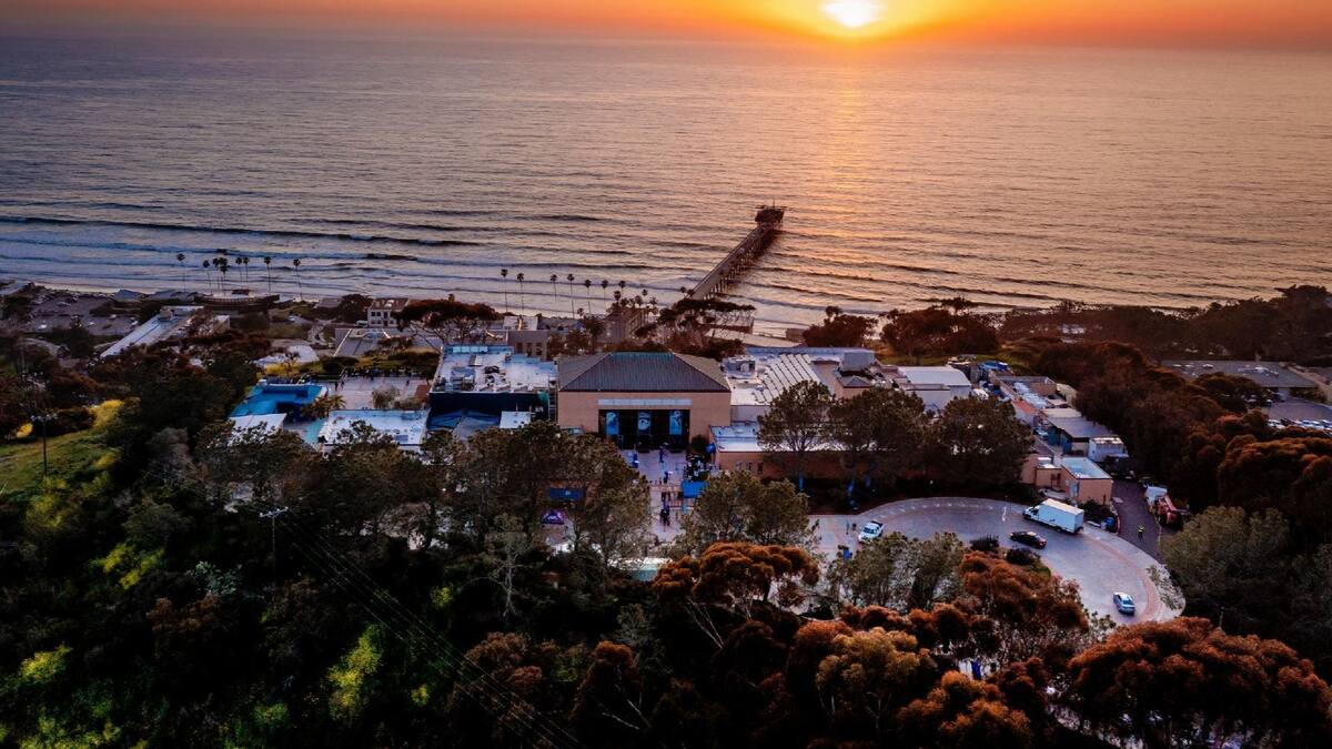 Animal Crossing invade acuario al norte de San Diego