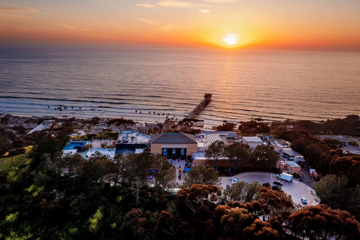 Animal Crossing invade acuario al norte de San Diego