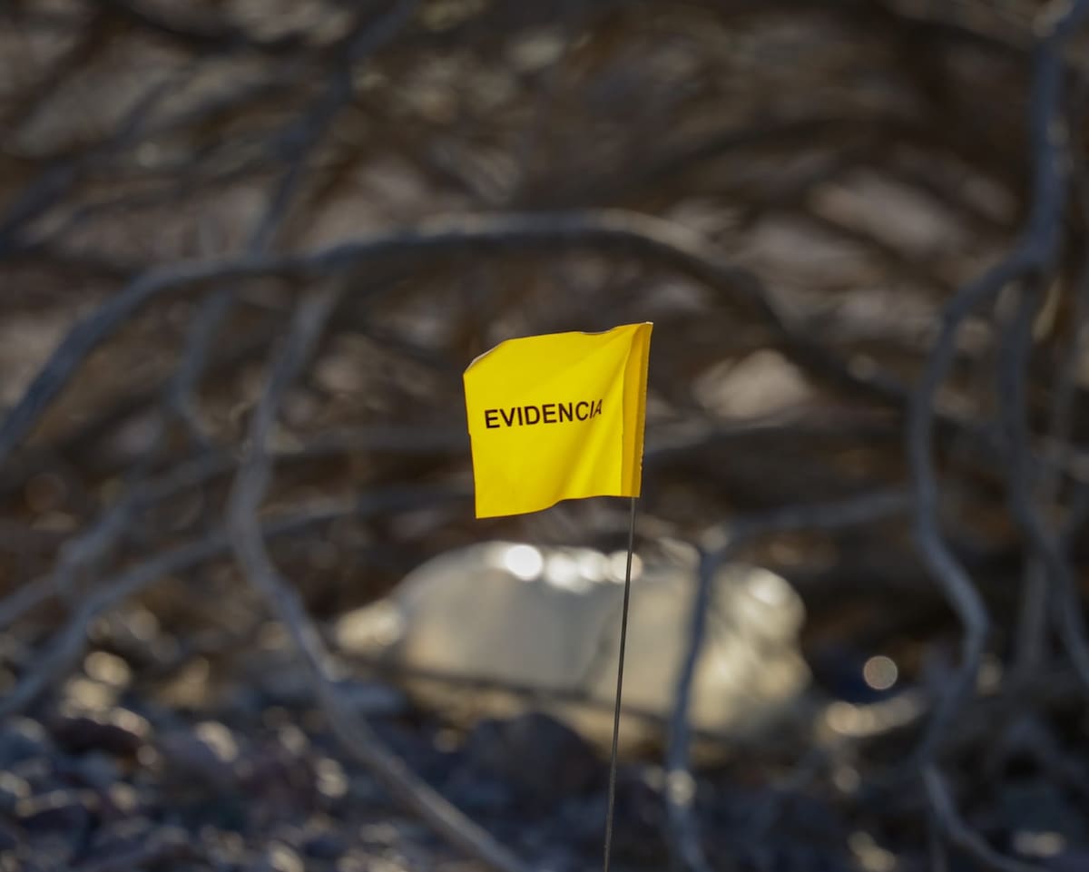 Foto: Javier Gallegos