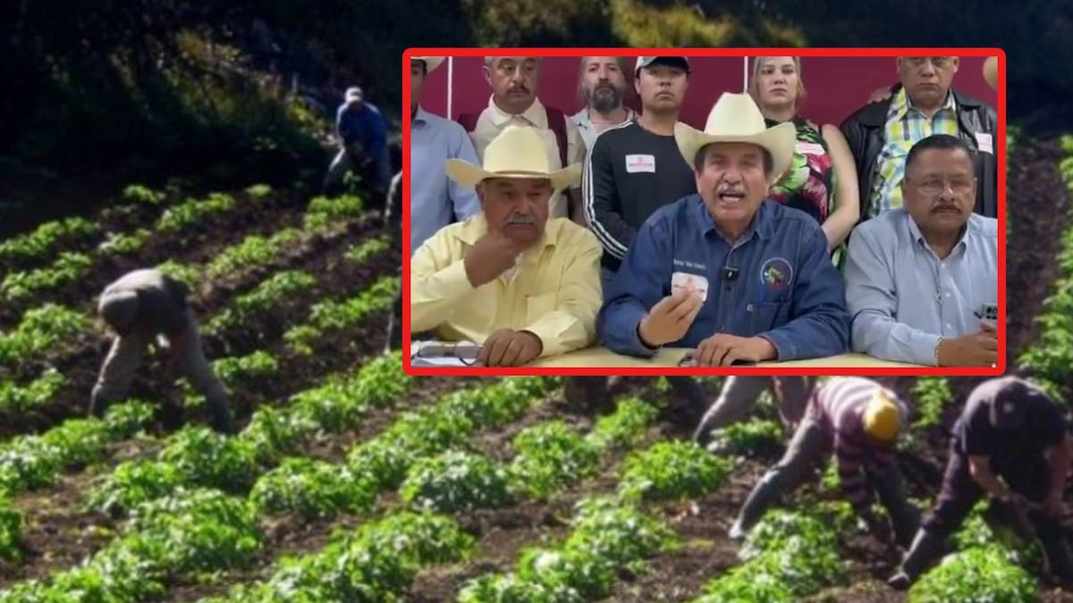 Anuncian “Megabloqueo” nacional organizado por transportistas y campesinos para el próximo lunes 24 de noviembre
