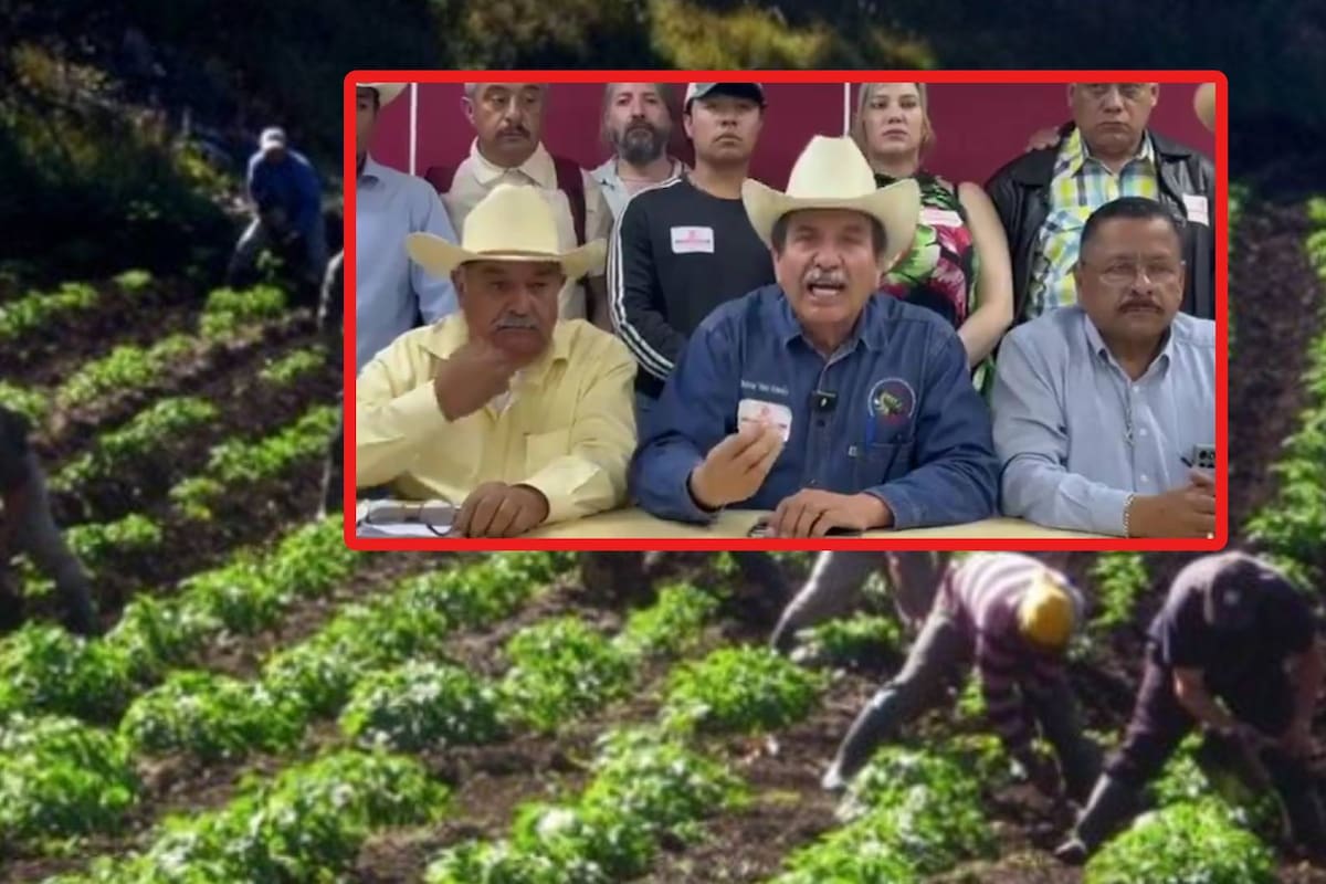 Anuncian “Megabloqueo” nacional organizado por transportistas y campesinos para el próximo lunes 24 de noviembre