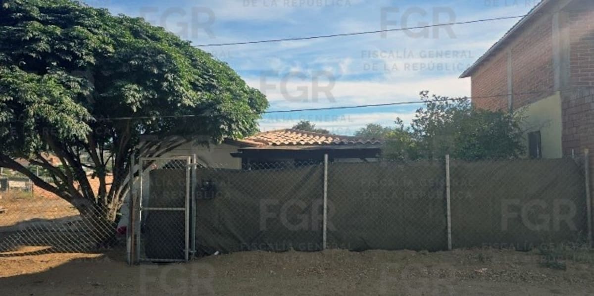 Foto: Cortesía
