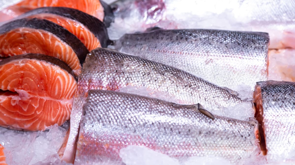 Científicos japoneses crean un modelo matemático que mide la frescura del pescado en tiempo real analizando la temperatura y la degradación del ATP, permitiendo predecir la vida útil restante para asegurar alimentos en estado óptimo