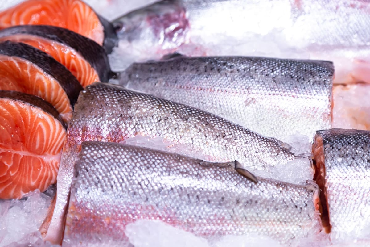 Científicos japoneses crean un modelo matemático que mide la frescura del pescado en tiempo real analizando la temperatura y la degradación del ATP, permitiendo predecir la vida útil restante para asegurar alimentos en estado óptimo