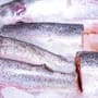 Científicos japoneses crean un modelo matemático que mide la frescura del pescado en tiempo real analizando la temperatura y la degradación del ATP, permitiendo predecir la vida útil restante para asegurar alimentos en estado óptimo