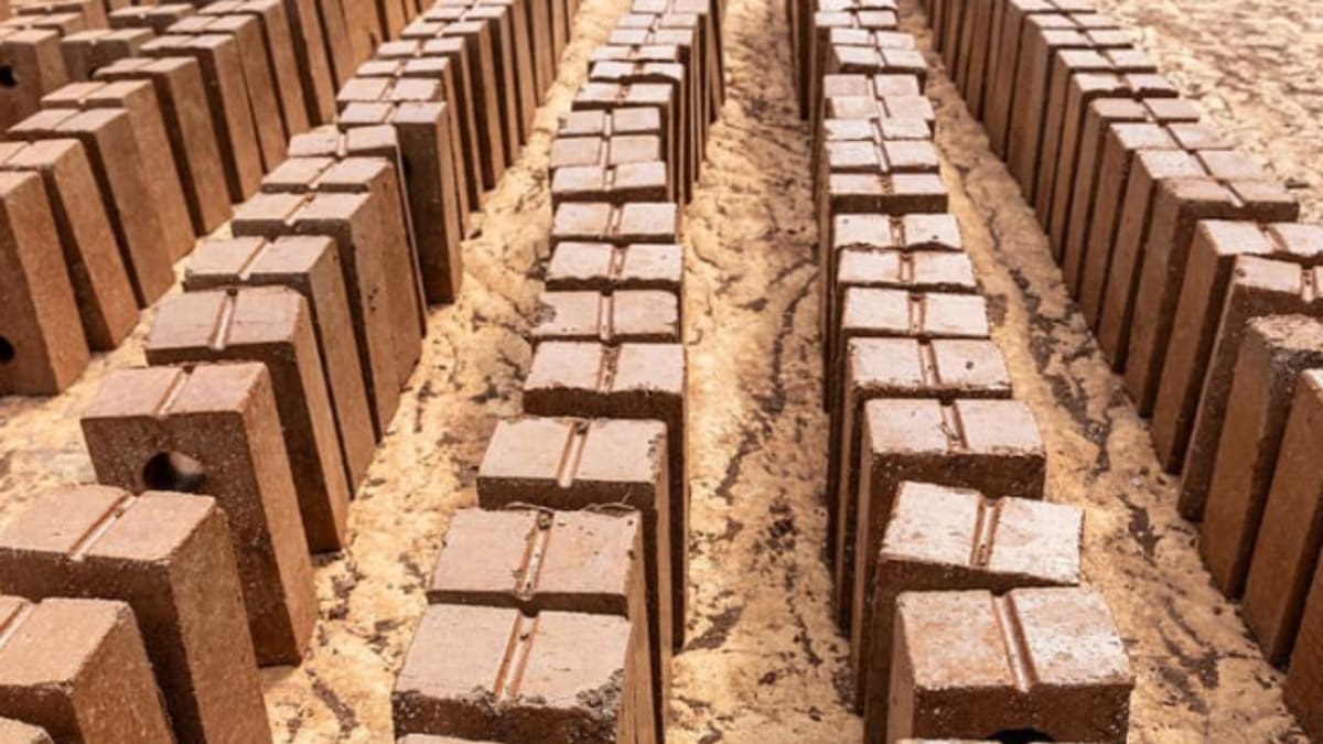 Bloques elaborados con 40% de sargazo permiten reducir costos y reutilizar la macroalga acumulada en el Caribe mexicano.
Foto: Omar Vázquez Sánchez