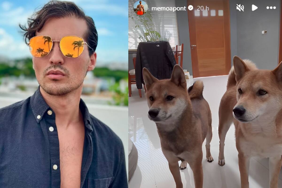 Memo Aponte reaparece junto a sus mascotas tras acusaciones de maltrato animal