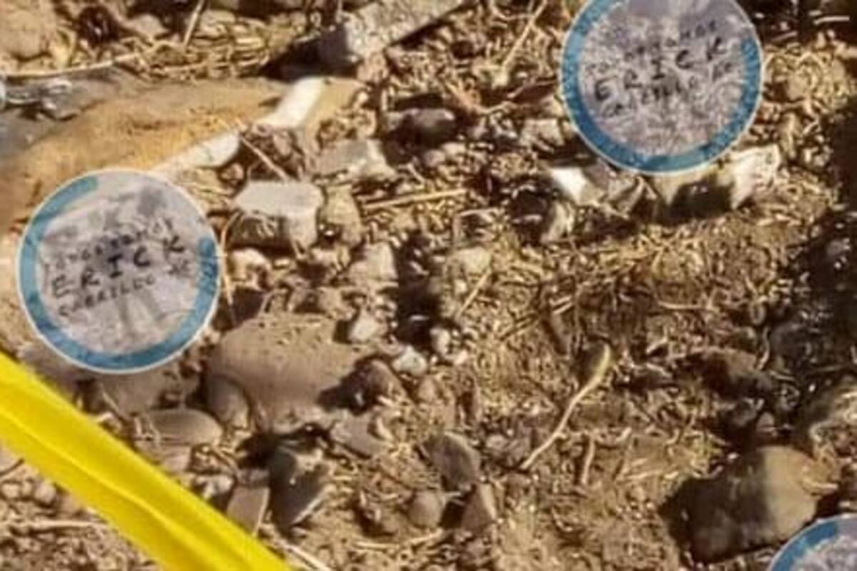 Encuentra colectivo dos cuerpos en colonia Alamar