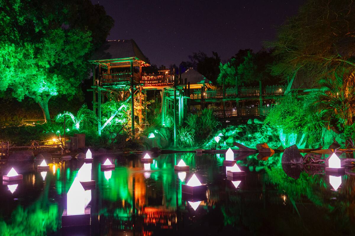 Celebran las festividades en San Diego Zoo Safari Park con ‘Wild Holidays’
