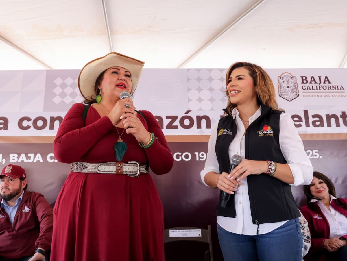 La 79 Muestra Internacional de Cine llegará a cinco municipios de Baja California con 13 producciones de cine contemporáneo internacional que serán proyectadas del 5 al 24 de junio. Foto: Cortesía.