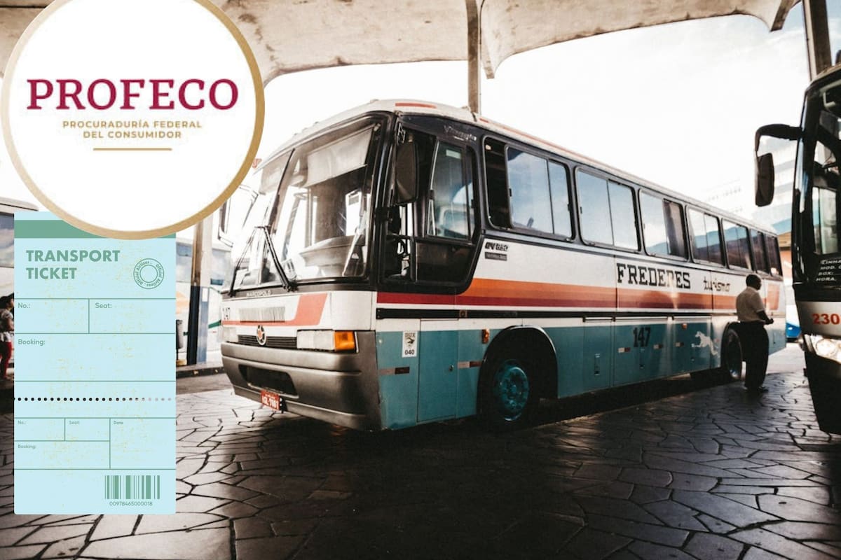 ¿Te irás de vacaciones en Navidad? Profeco revela cuáles son tus derechos al viajar en autobús