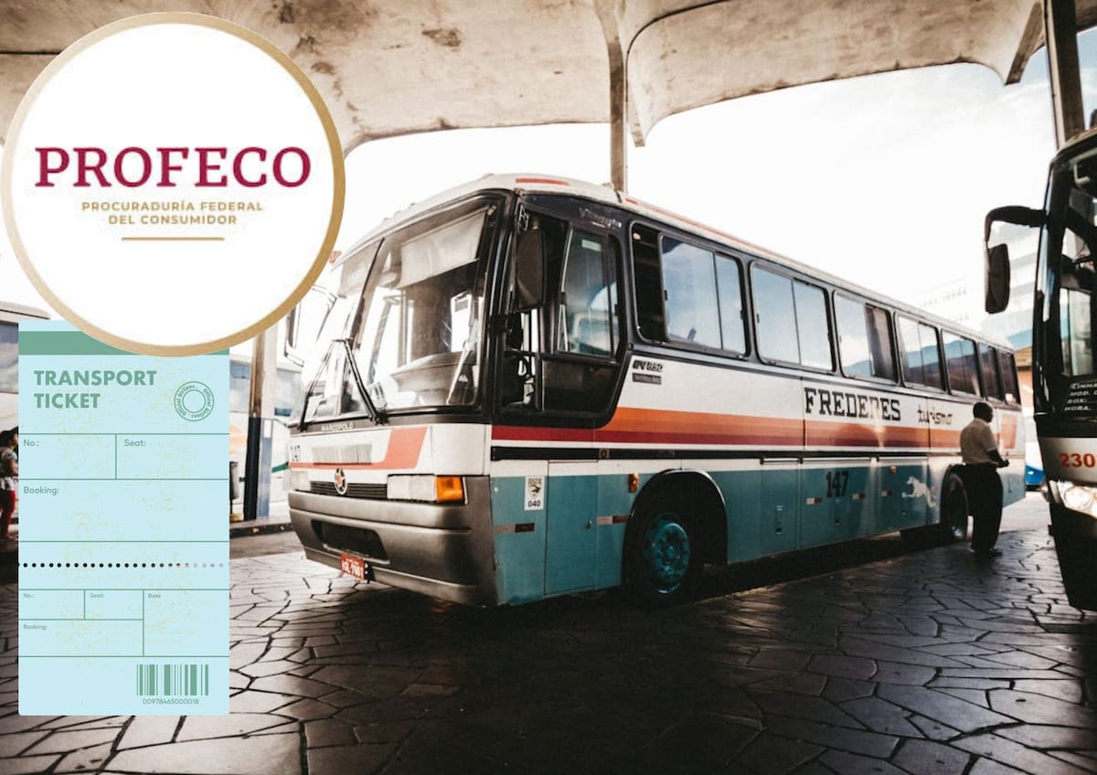 La Profeco dio a conocer los derechos de los consumidores al viajar en autobús, de cara a las vacaciones navideñas