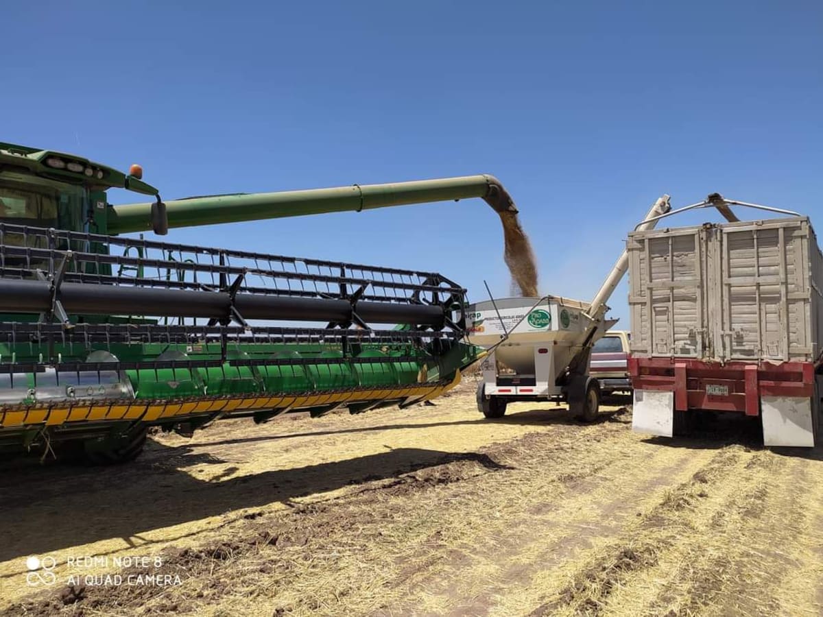 Lo que sigue es alcanzar una buena venta del producto cosechado.