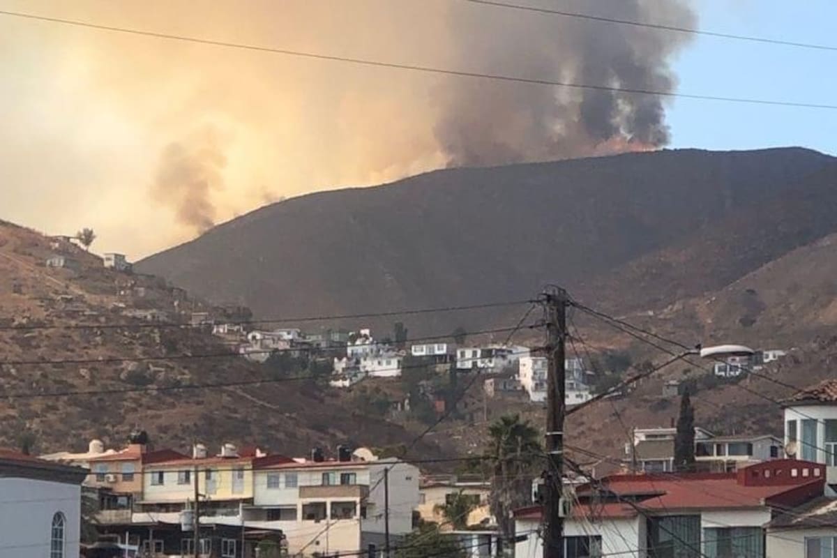 Combaten bomberos y Conafor incendio forestal