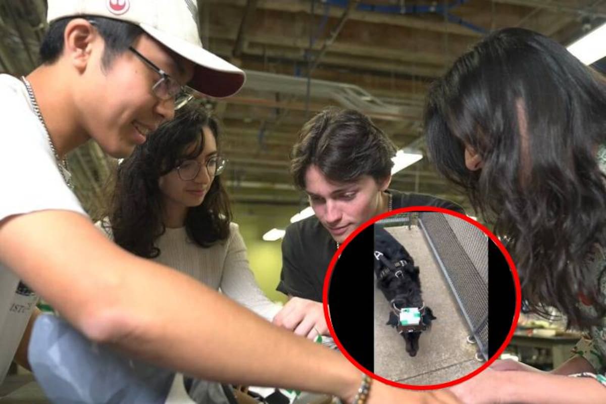 Estudiantes de la Universidad Rice crean un chaleco inteligente para perros ciegos