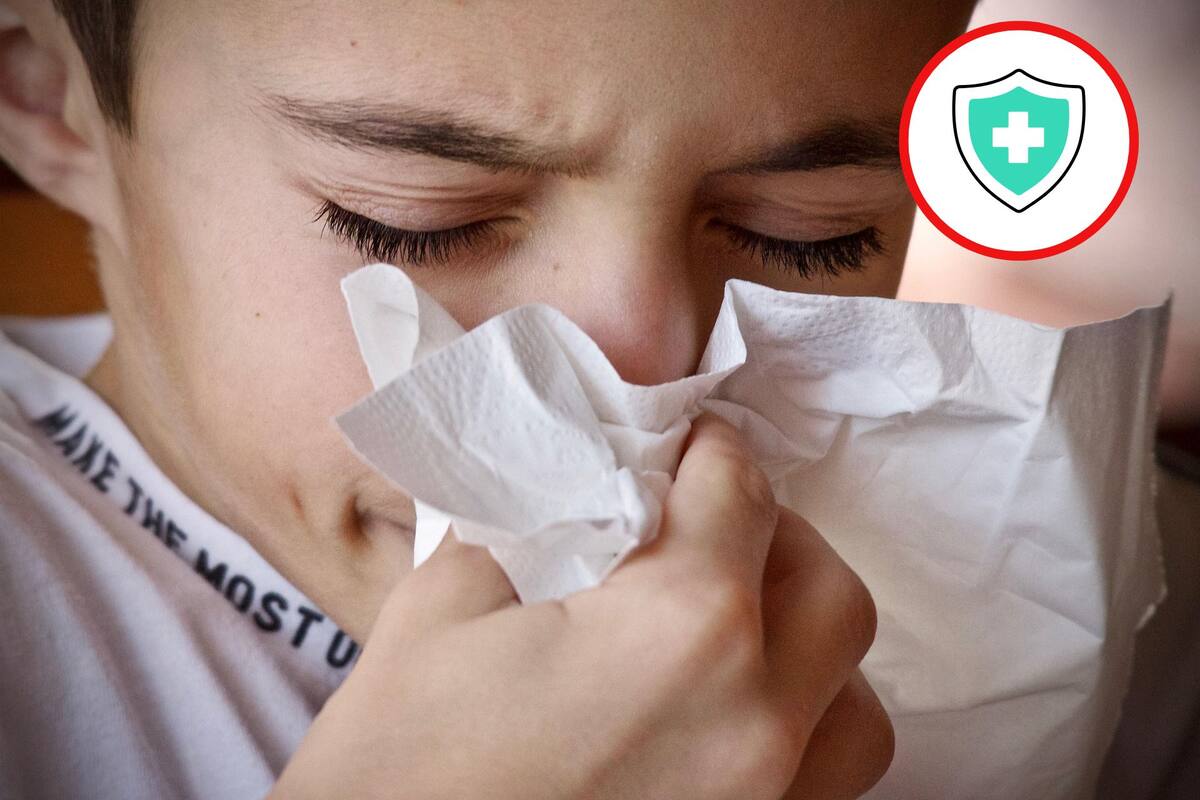 Crean microrobots que eliminan infecciones nasales y se expulsan al estornudar