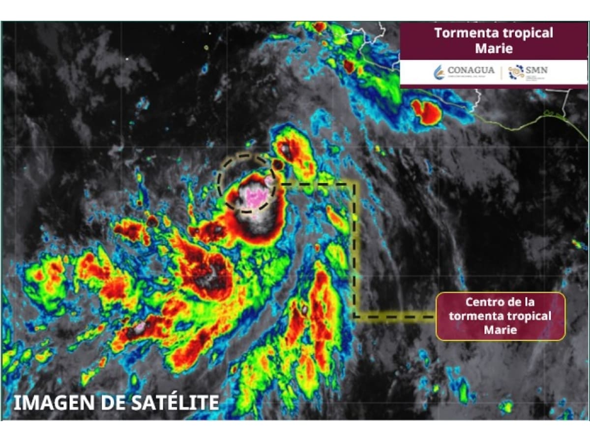 Tormenta tropical Marie se ubica a 760 km de Manzanillo y dejará lluvias en varios estados mientras se fortalece rumbo a huracán categoría 1 frente a Baja California Sur. | Crédito: SMN/Conagua
