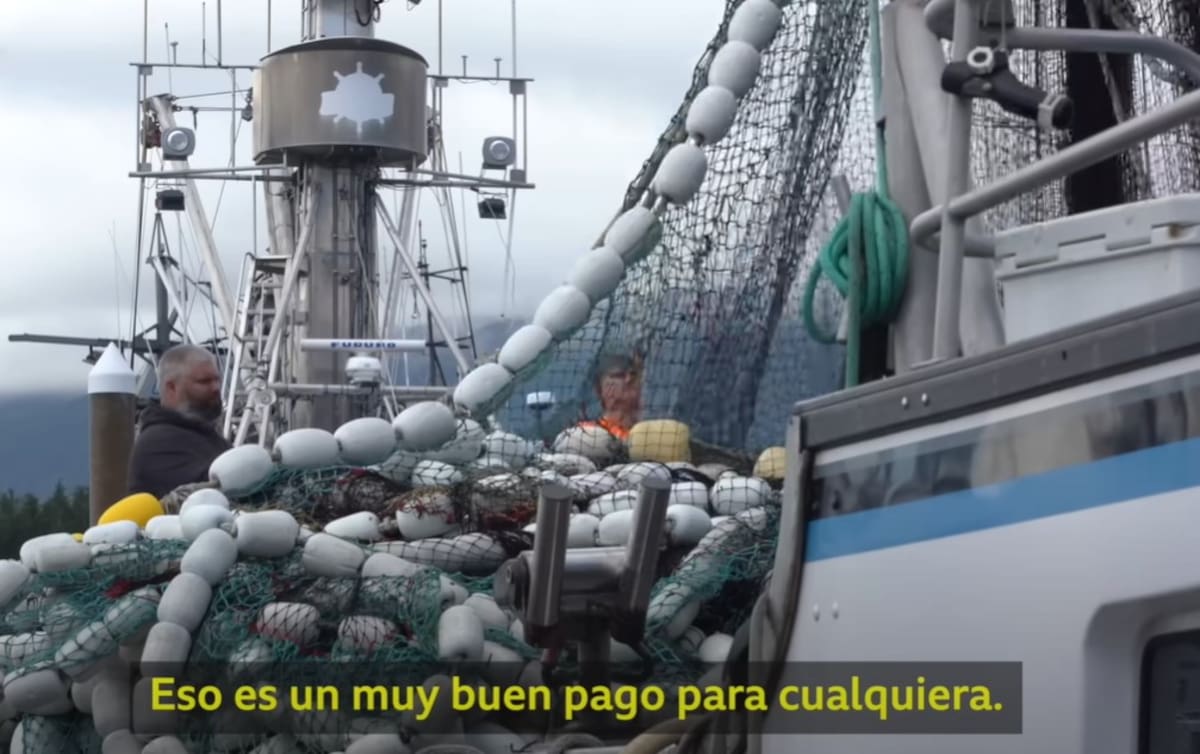 El trabajo de pesca en Alaska es muy bien remunerado, dejándoles a trabajadores mexicanos ganancias de más de medio millón de pesos por trabajar 4 meses al año. Foto: Especial (Captura de video/BBC)