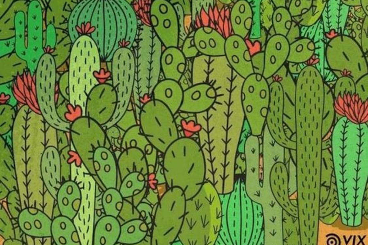Reto visual: Encuentra a la Tortuga, la Rana y la Serpiente en esta imagen misteriosa