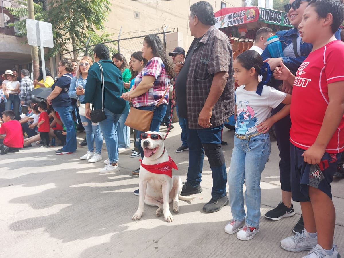 Realizan colorido desfile cívico militar en Nogales