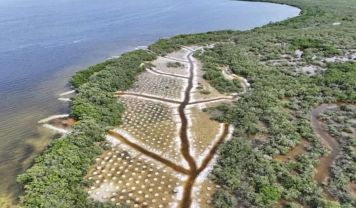 Uno de los aspectos más destacados del Puente Nichupté es su enfoque ambiental, respaldado por autorizaciones de la Secretaría de Medio Ambiente y Recursos Naturales (SEMARNAT) mediante la Manifestación de Impacto Ambiental (MIA) Regional.