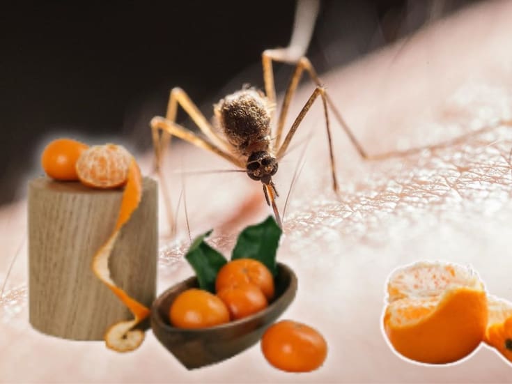Adiós a los mosquitos con este remedio casero de cáscaras de mandarina