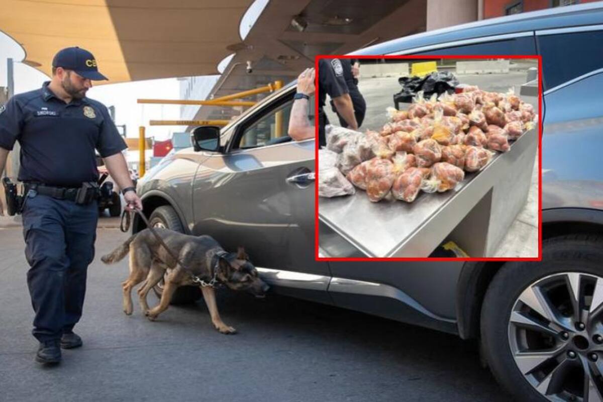 Aduana multa a conductor y asegura vehículo por contrabando de chorizo, morcilla y longaniza