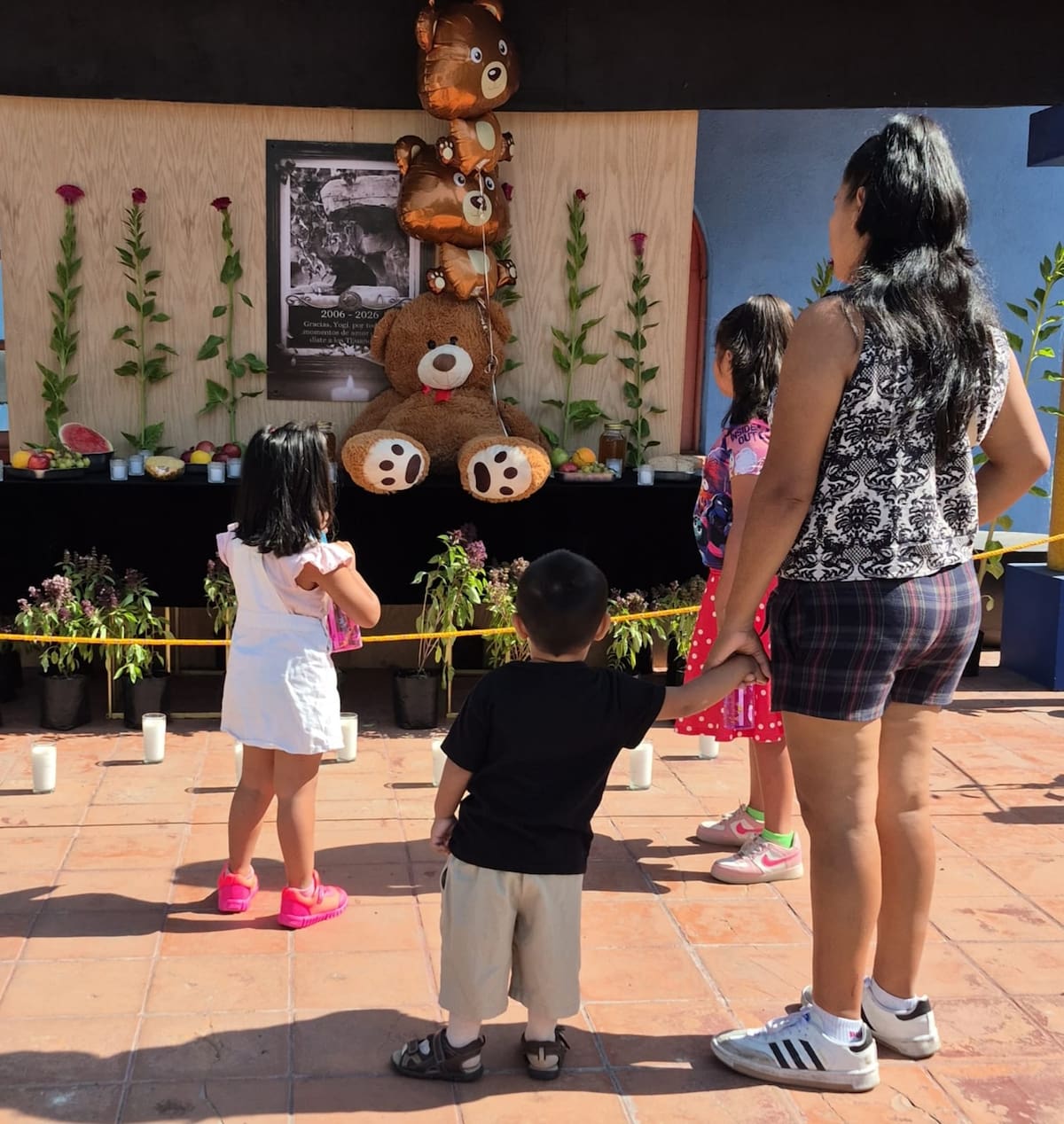 Familias que acudieron al Parque Morelos colocaron frutas y latas de miel como ofrenda en memoria del oso Yogui. Foto: Khennia Reyes