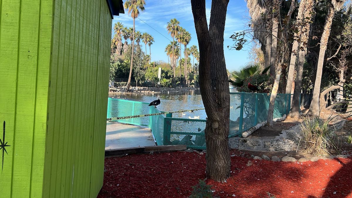 El cierre parcial del lago en el Parque Morelos tendrá una vigencia de 15 días.