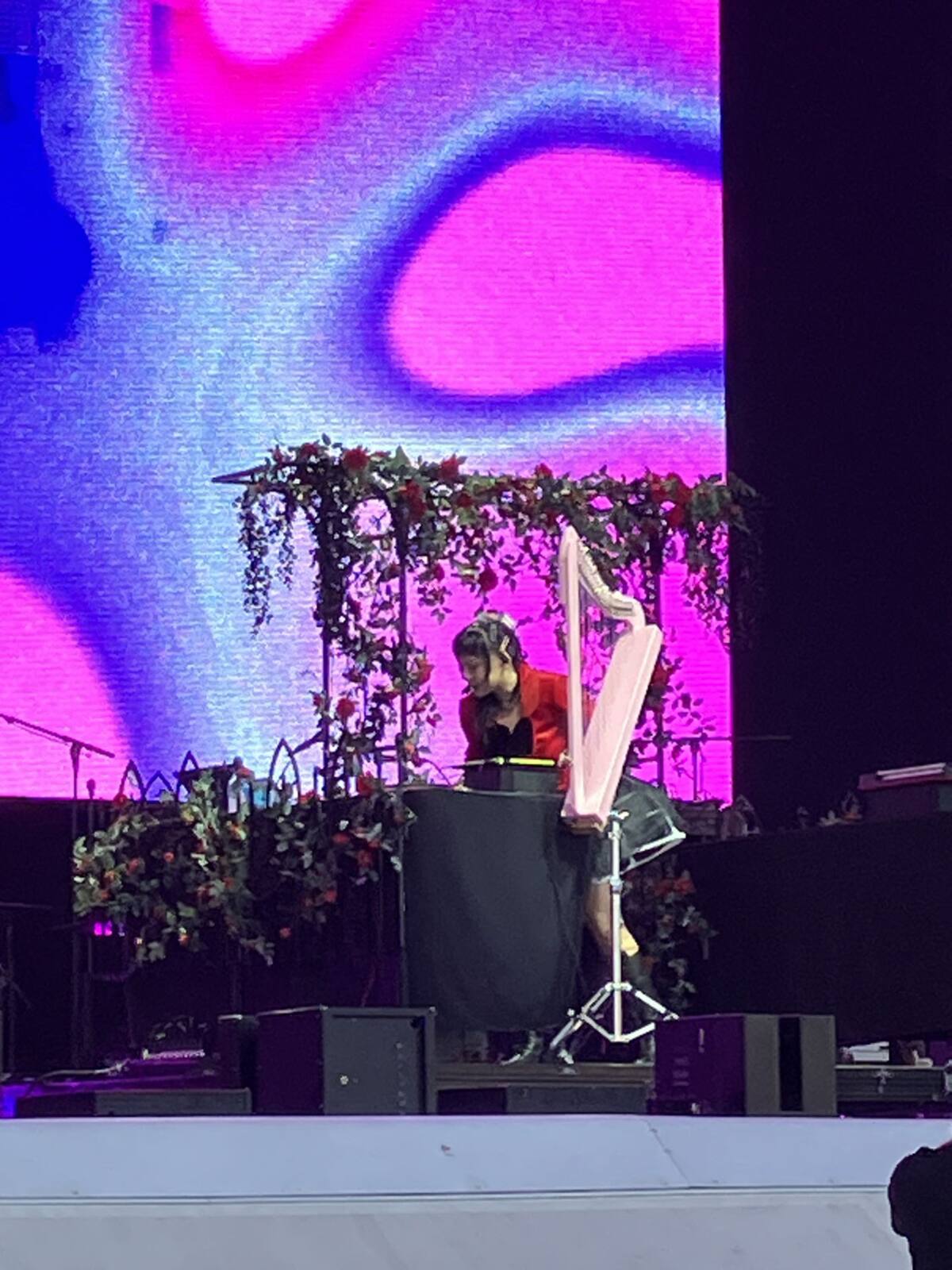 La también artista de performance se instaló con su arpa.