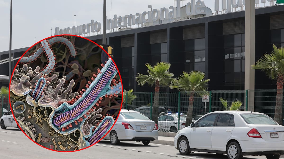 Colaboran EE.UU. y BC en detección de enfermedades infecciosas