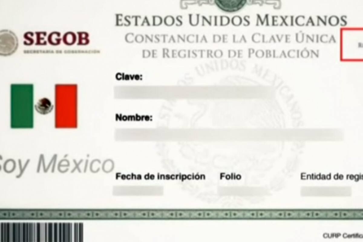Usuarios reportan fallas en trámite de CURP en línea