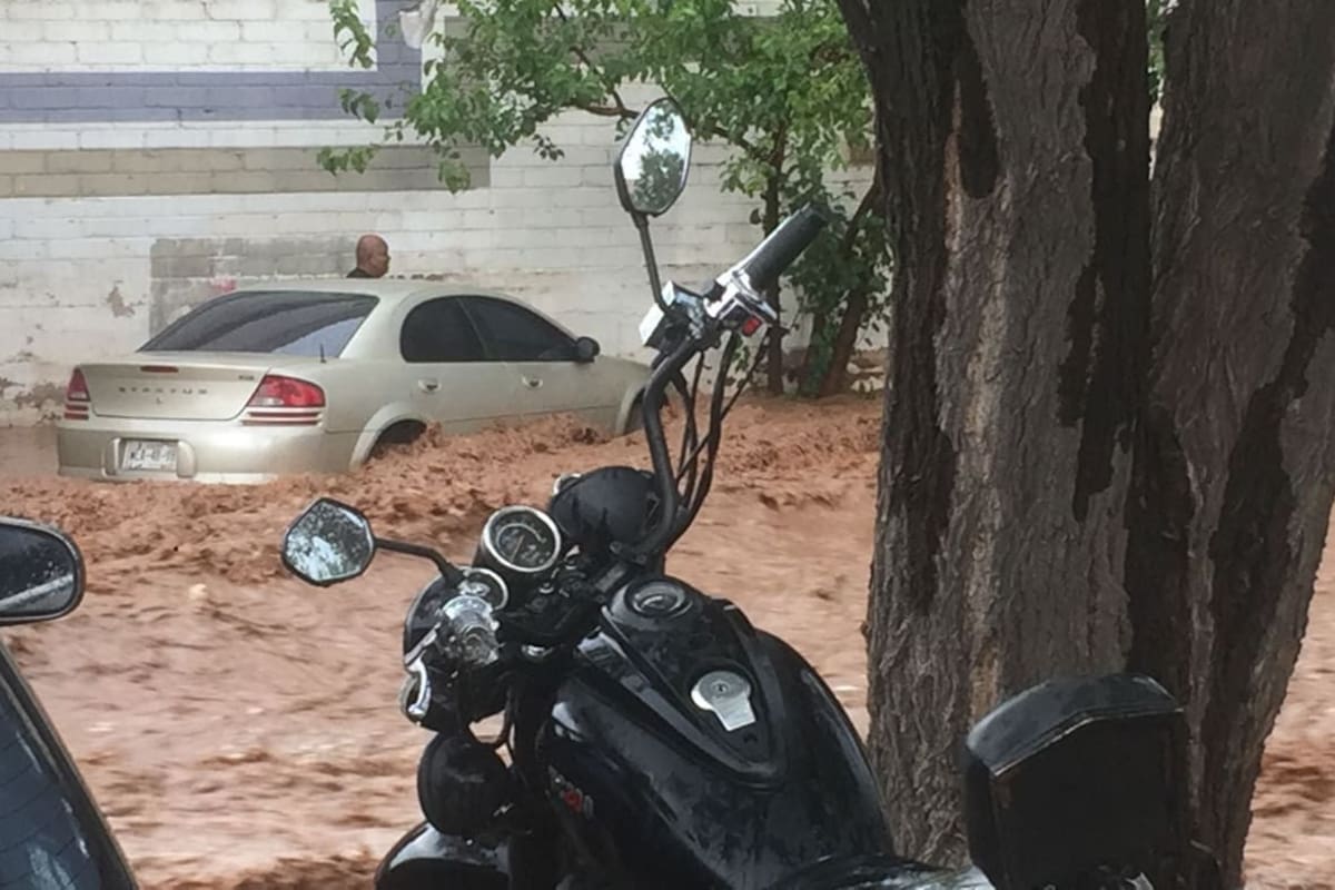VIDEO: Rescatan a persona de arroyo tras lluvias en Nogales; caen árboles