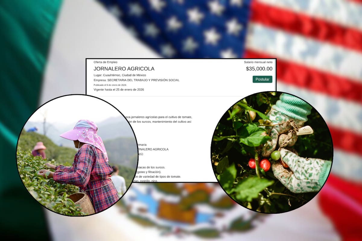 Ofrecen empleo en Estados Unidos para jornaleros con sueldo de 35 mil pesos al mes y sin pedir inglés