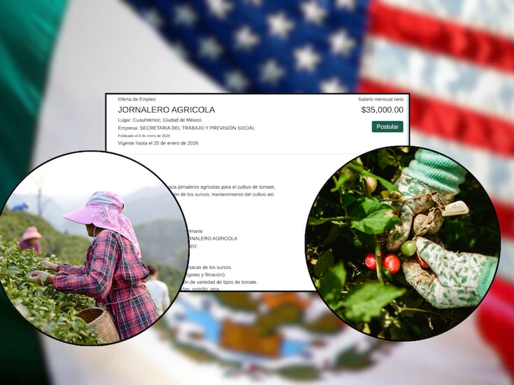 Ofrecen empleo en Estados Unidos para jornaleros con sueldo de 35 mil pesos al mes y sin pedir inglés