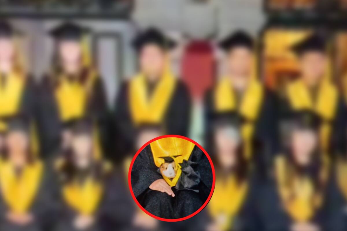 VIRAL: Cuyo se cuela en foto de graduación y en las redes lo llaman 'licenciado"