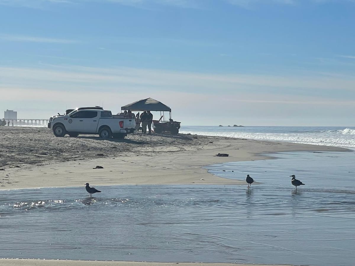 Protección Civil, rescate acuático y Marina mantienen operativos ampliados, con apoyo de drones, mientras la familia permanece en la zona. Foto: Carmen Gutiérrez