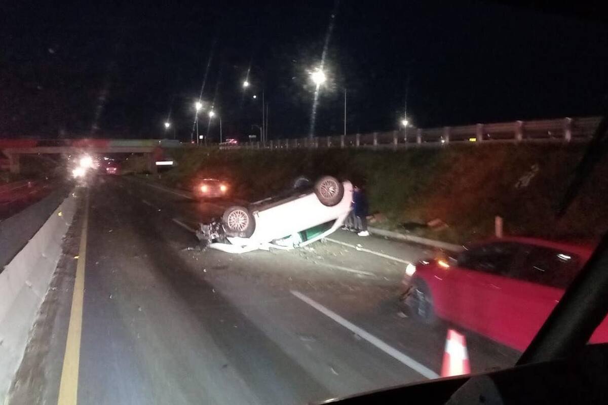 Caballos provocan carambola en carretera Escénica
