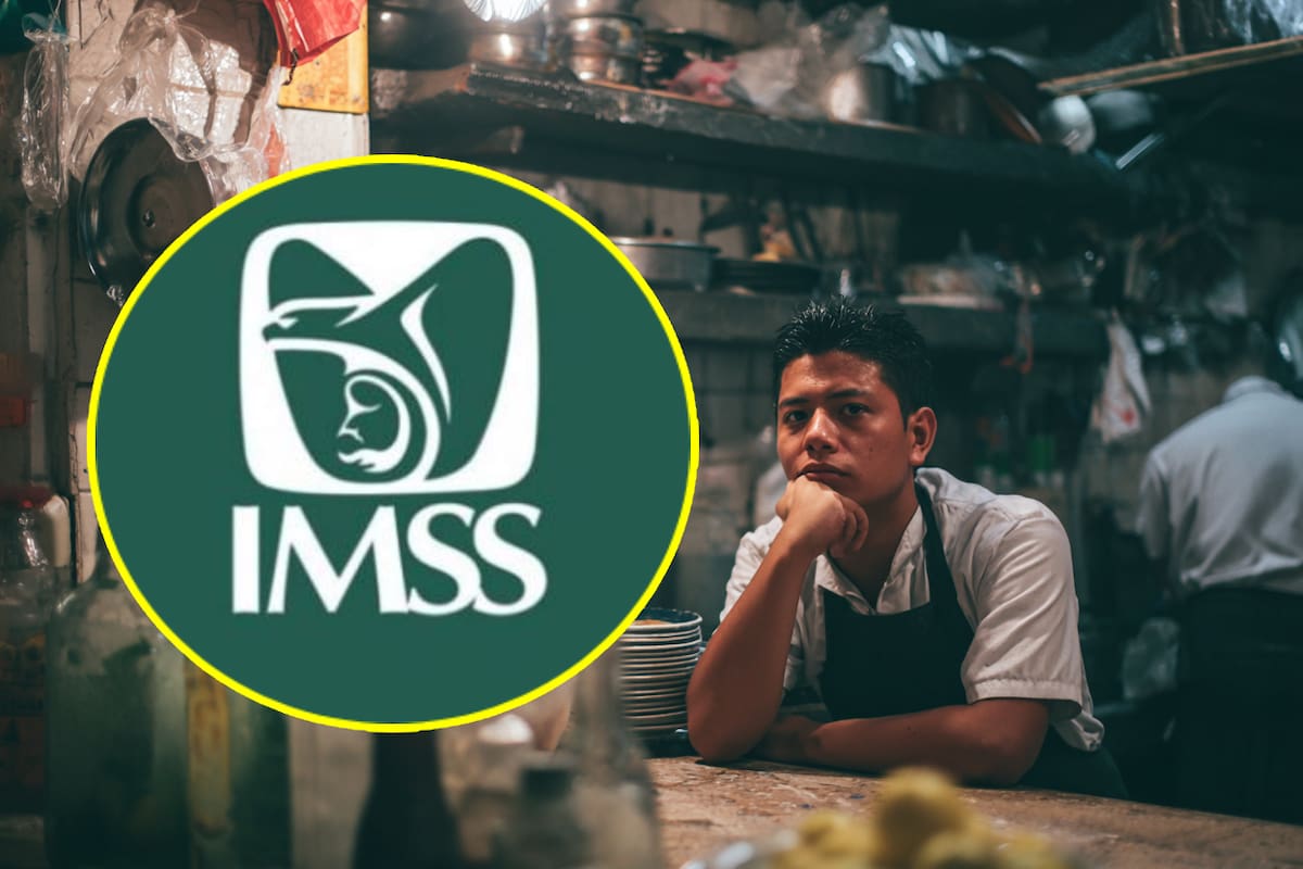 ¿Cómo puedes conseguir tu número de Seguridad Social (NSS) del IMSS por Internet en 2025?