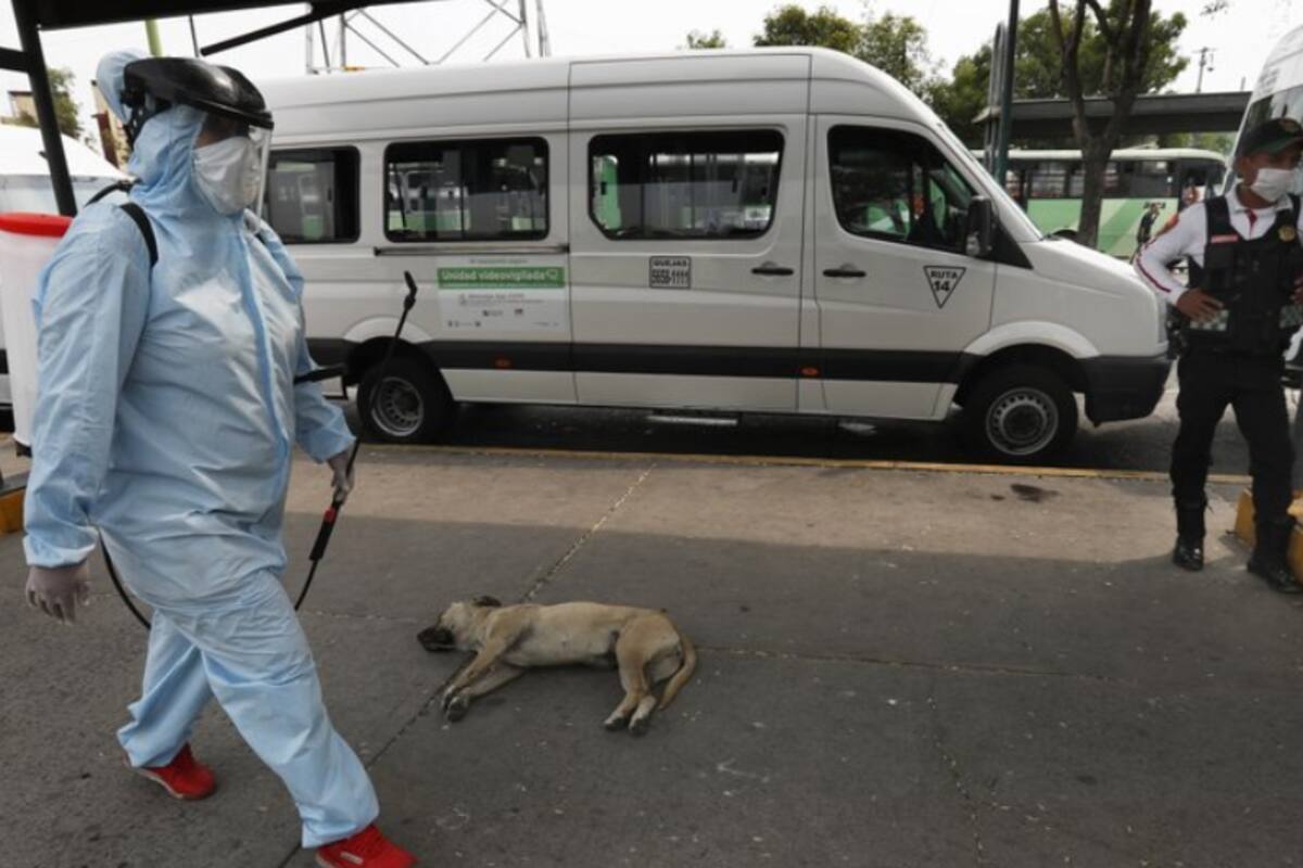 Violencia en México no disminuye a pesar de medida 'Quédate en casa' por Covid-19