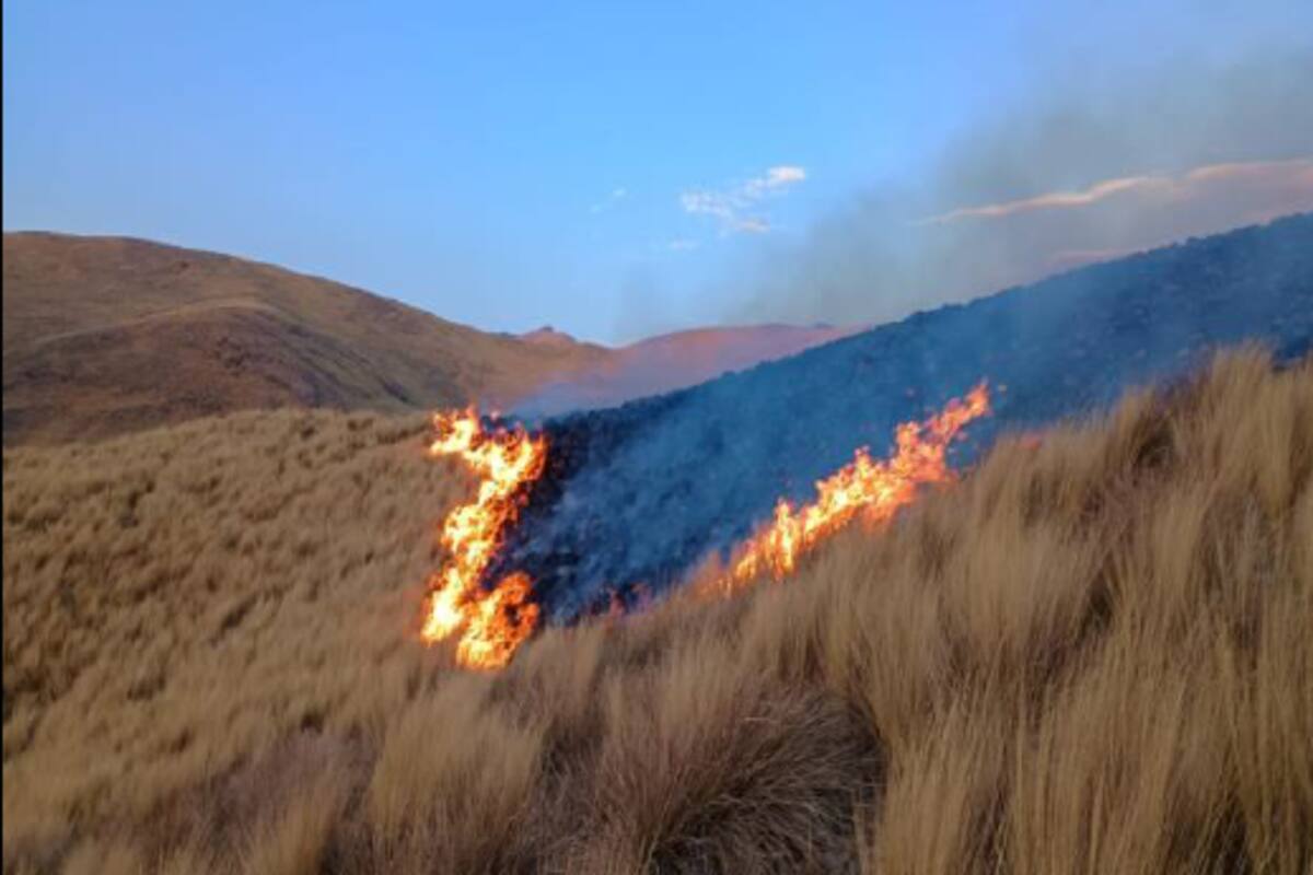 Incendios forestales: Perú detectó al menos 87 desde agosto y 49 están activos