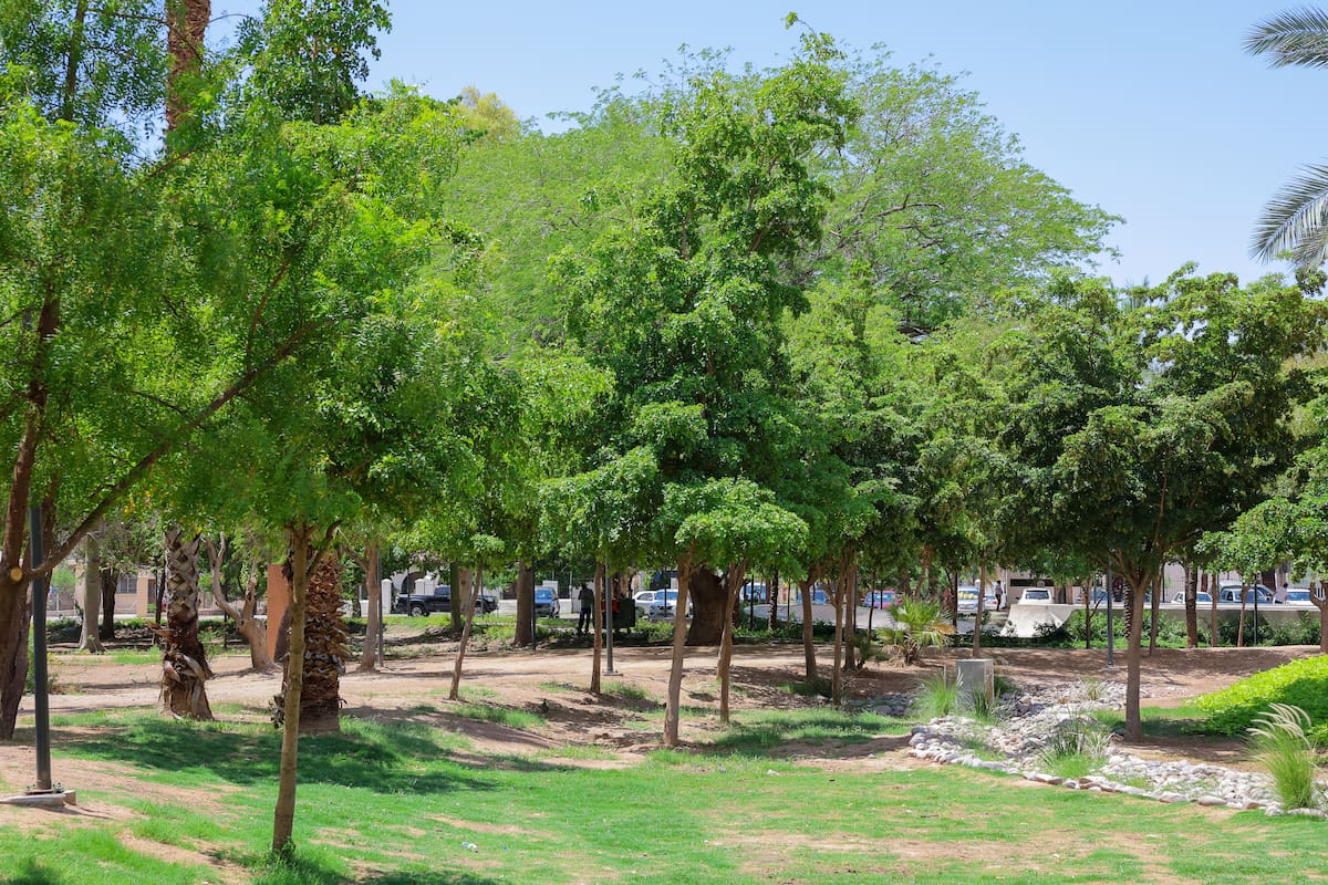 Destacan inversión de mil 828 mdp en la remodelación del parque Madero