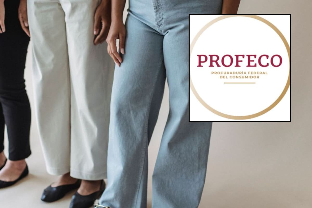 Jeans de $299 vs jeans de $1,285: ¿Vale la pena comprar los más caros?: Profeco