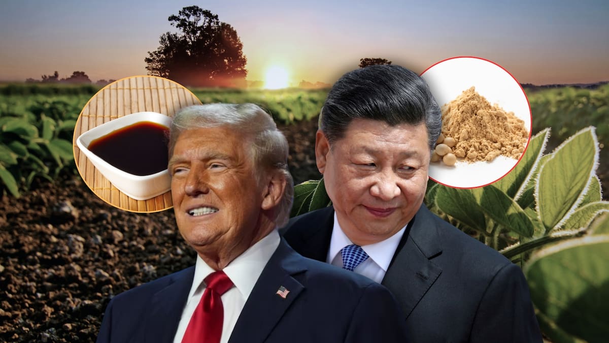 La guerra comercial entre Estados Unidos y China golpea a los agricultores de Dakota del Norte: millones en pérdidas por la caída de la soya, negociaciones inciertas y riesgo de embargos agrícolas. Foto: Especial (Reuters/Canva)