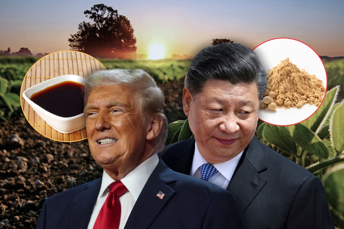 La guerra comercial entre China y EEUU está hundiendo la industria de la soya y los agricultores están alarmados, con pérdidas históricas y una posible ola de embargos agrícolas ante esta crisis monumental que recuerda a la de 1980