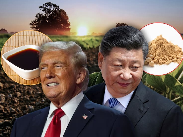 La guerra comercial entre China y EEUU está hundiendo la industria de la soya y los agricultores están alarmados, con pérdidas históricas y una posible ola de embargos agrícolas ante esta crisis monumental que recuerda a la de 1980