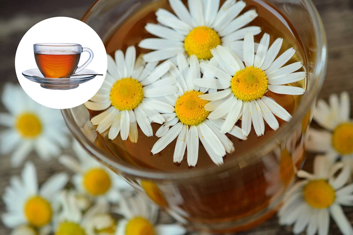 ¿Qué pasa si tomas té de manzanilla todos los días?